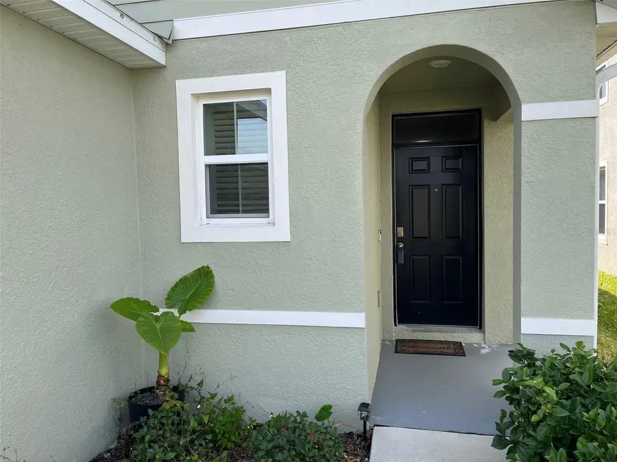 8402 Pelican Reed Circle, Wesley Chapel, FL 33545 - Image #3