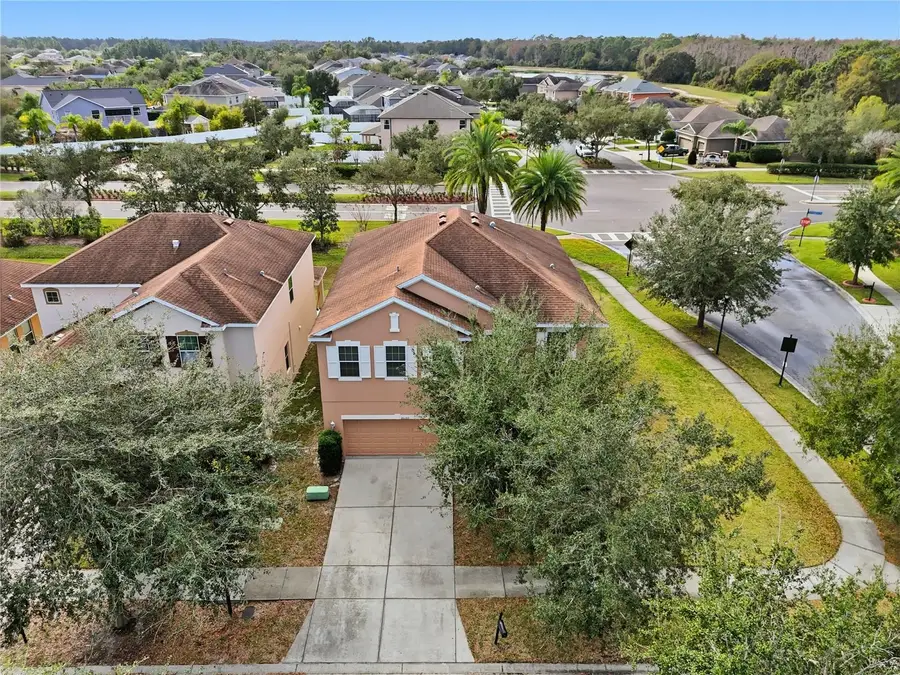 20203 Autumn Fern Avenue, Tampa, FL 33647 - Image #2