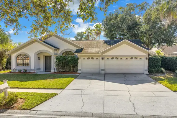 8436 Ridgebrook Circle, ODESSA, FL 33556