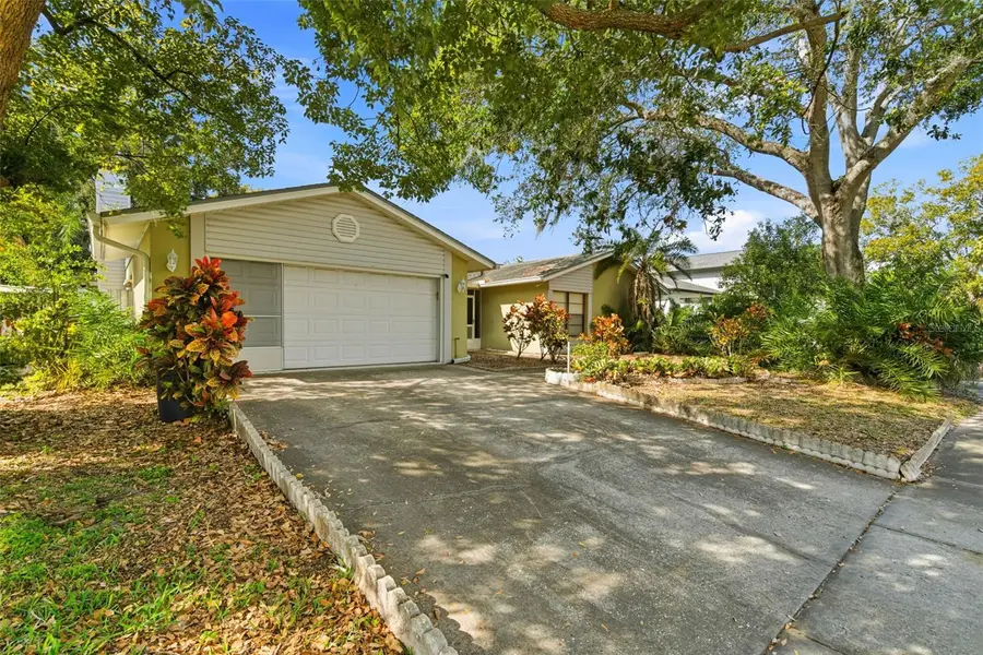 15606 Farnsworth Lane, Tampa, FL 33624 - Image #2