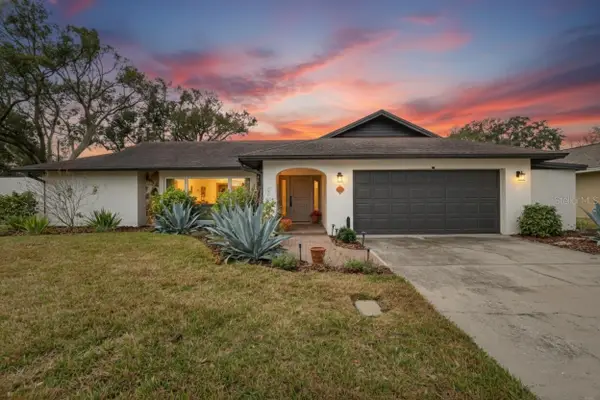 13206 Tifton Drive, TAMPA, FL 33618