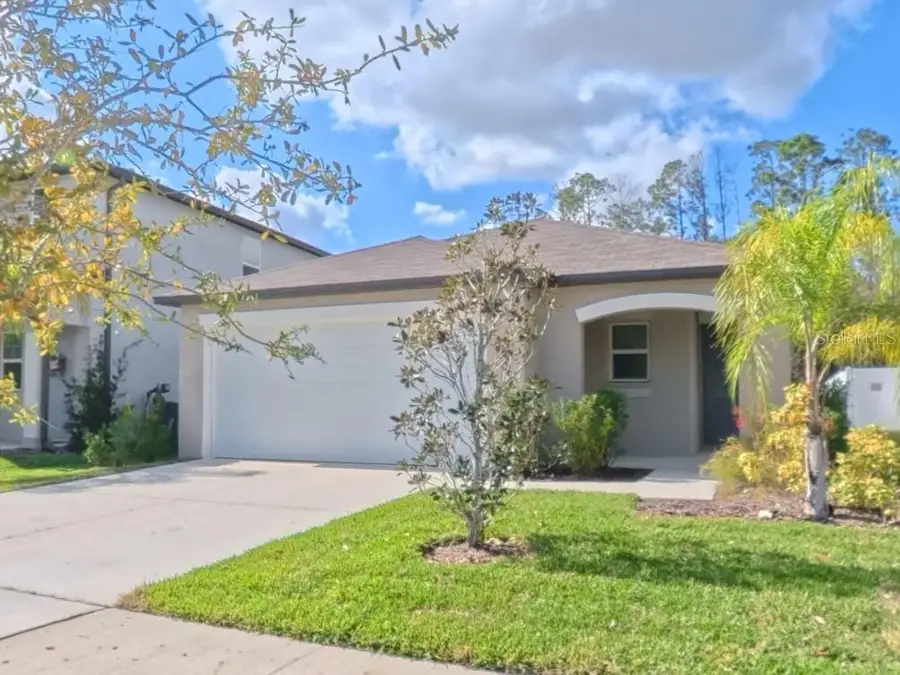 12727 Maple Bonsai Drive, Riverview, FL 33579 - Image #2
