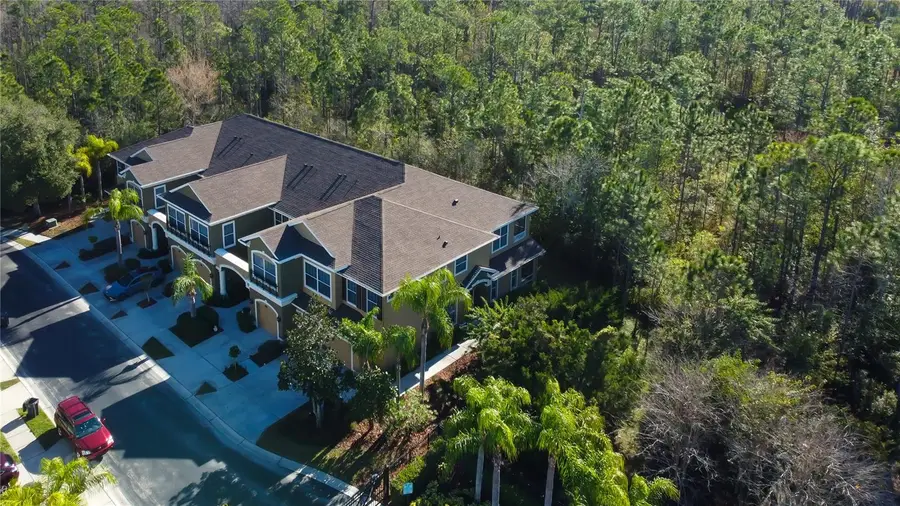 12507 Silverdale Street, Tampa, FL 33626 - Image #3