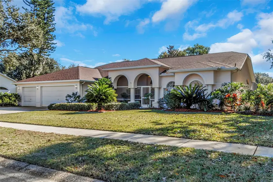 1518 Fishing Lake Drive, Odessa, FL 33556 - Image #3