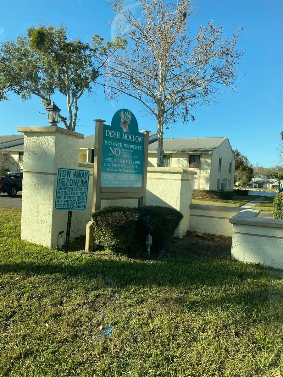 1333 Shady Pine Way #D, Tarpon Springs, FL 34688 - Image #2