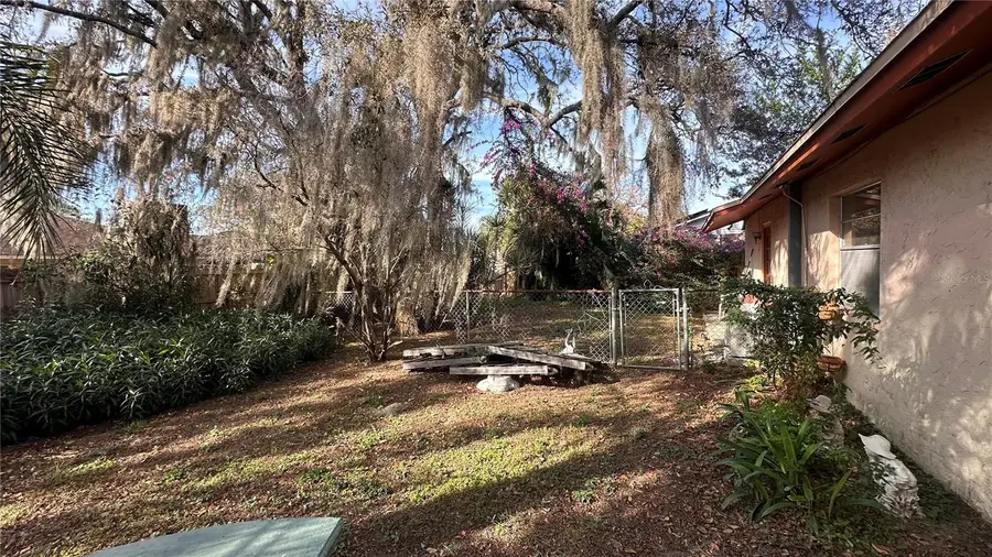 7012 Doreen Street, Tampa, FL 33617 - Image #3