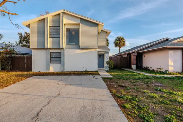 11033 Springridge Drive, TAMPA, FL 33624