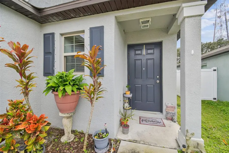 10248 Carloway Hills Drive, Wimauma, FL 33598 - Image #3