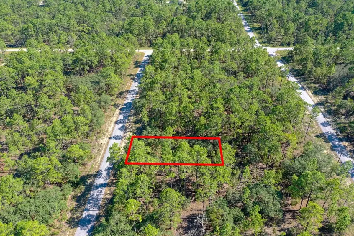 Lot #1 Alvarez Road, Dunnellon, FL 34431 - Image #1