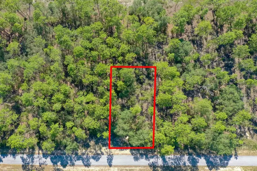 Lot #1 Alvarez Road, Dunnellon, FL 34431 - Image #2