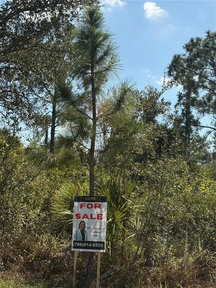 12469 Benner Lane, Port Charlotte, FL 33953 - Image #3