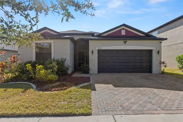 10222 Celtic Ash Drive, RUSKIN, FL 33573