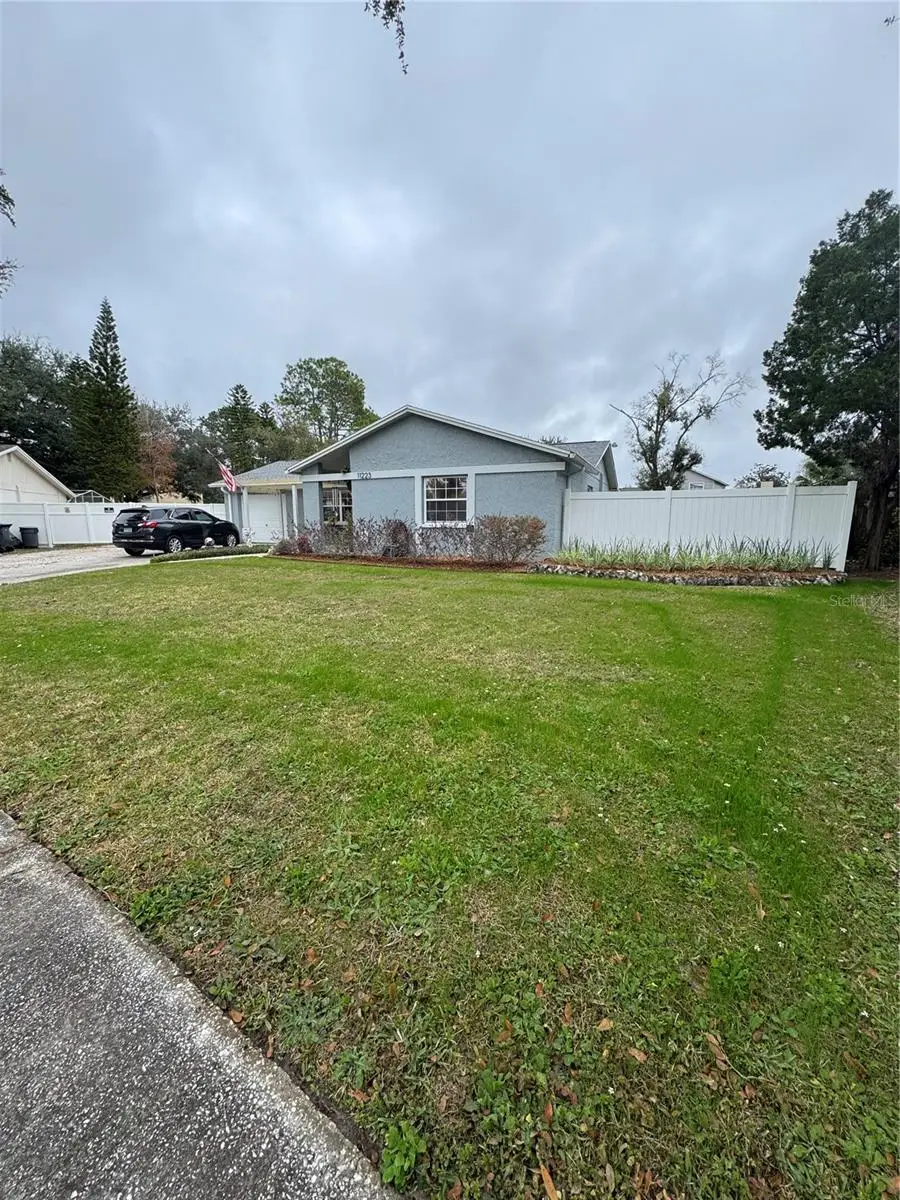 11223 Wheeling Drive, Tampa, FL 33625 - #2