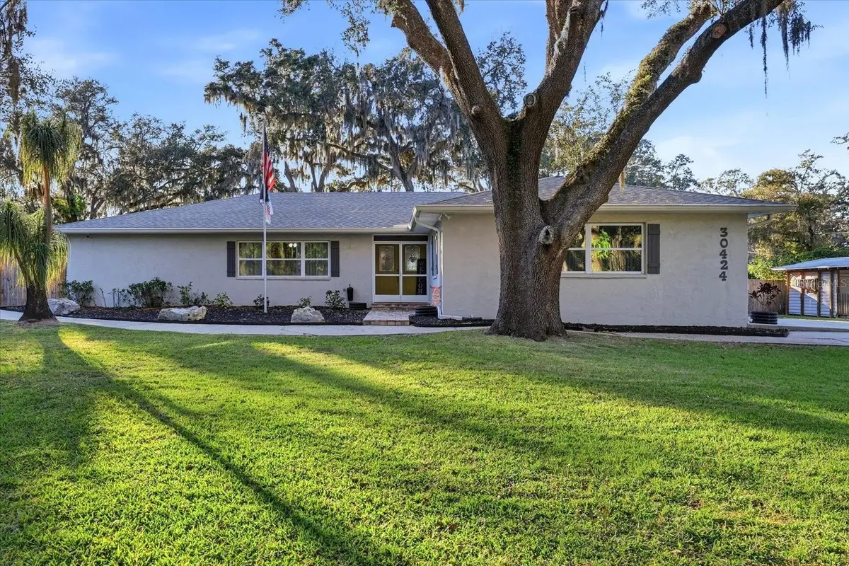 30424 Hillside Lane, Wesley Chapel, FL 33545 - Image #1