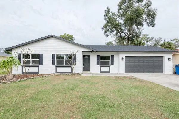 916 Tangelo Place, BRANDON, FL 33510