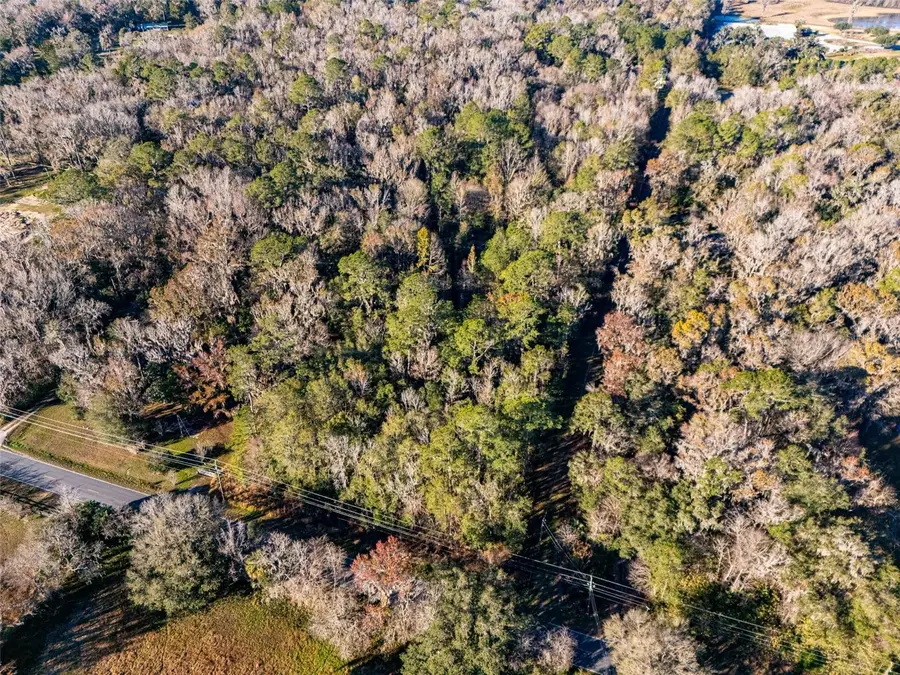 12510 SE 47th Avenue, Belleview, FL 34420 - Image #3