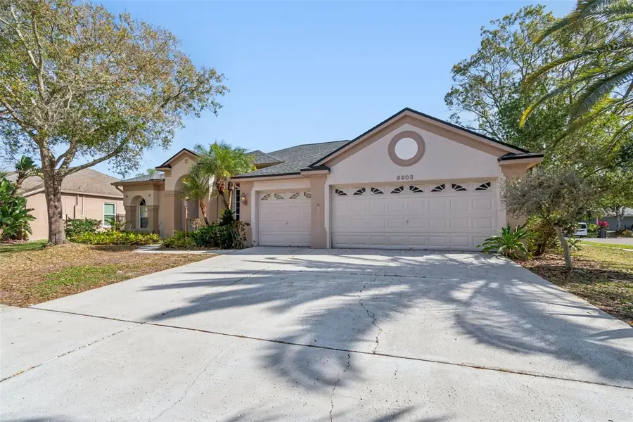 9903 Bennington Drive, Tampa, FL 33626 - Image #3