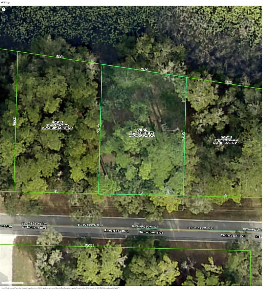 TBD Richardson Boulevard, Webster, FL 33597 - #1