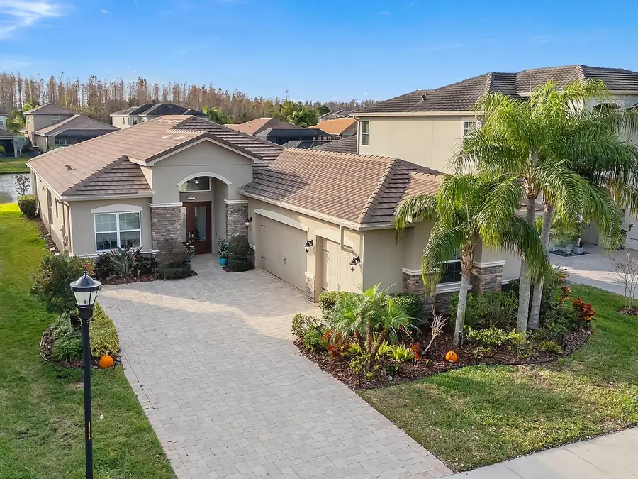 31176 Chesapeake Bay Drive, Wesley Chapel, FL 33543 - Image #3