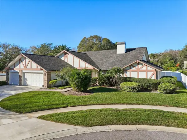 3302 Westmoreland Drive, TAMPA, FL 33618