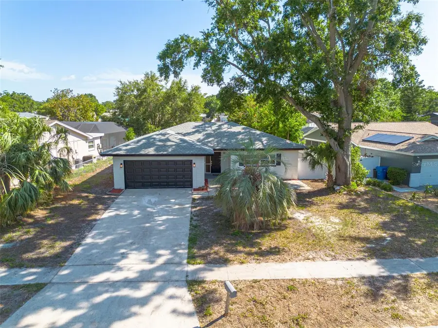 2436 Beacon Groves Boulevard, Palm Harbor, FL 34683 - Image #3
