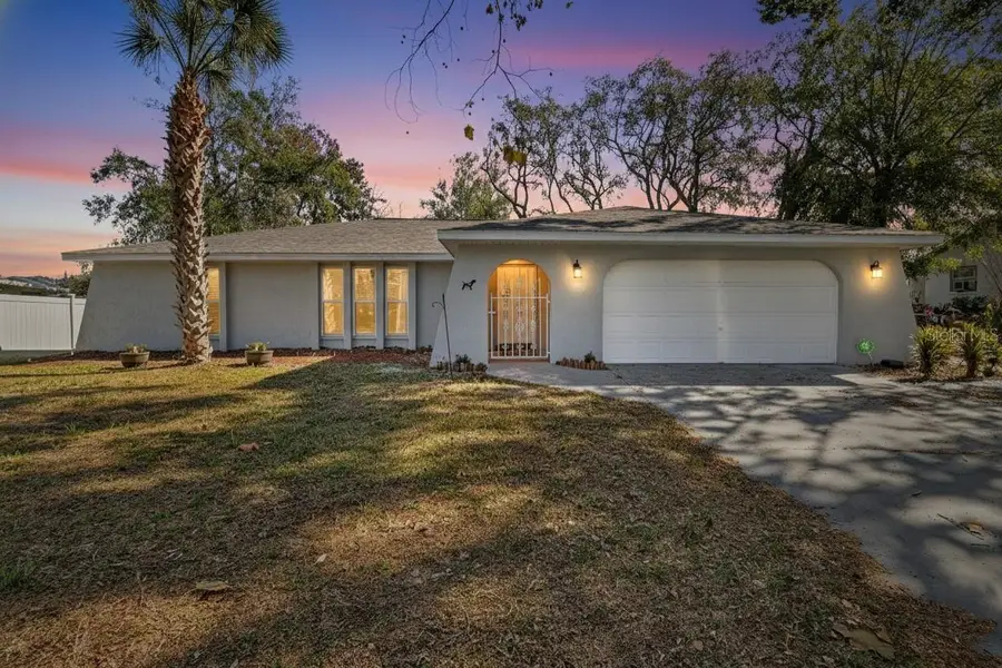 2496 Mandrell Avenue, Spring Hill, FL 34608 - Image #2