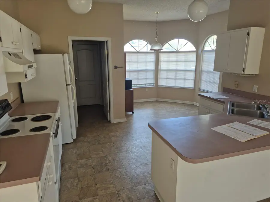 23300 Dover Drive, Land O Lakes, FL 34639 - Image #2