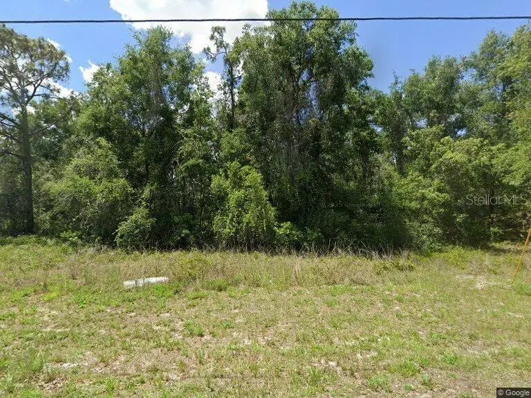 Idle A While Circle, Dade City, FL 33523 - Image #1