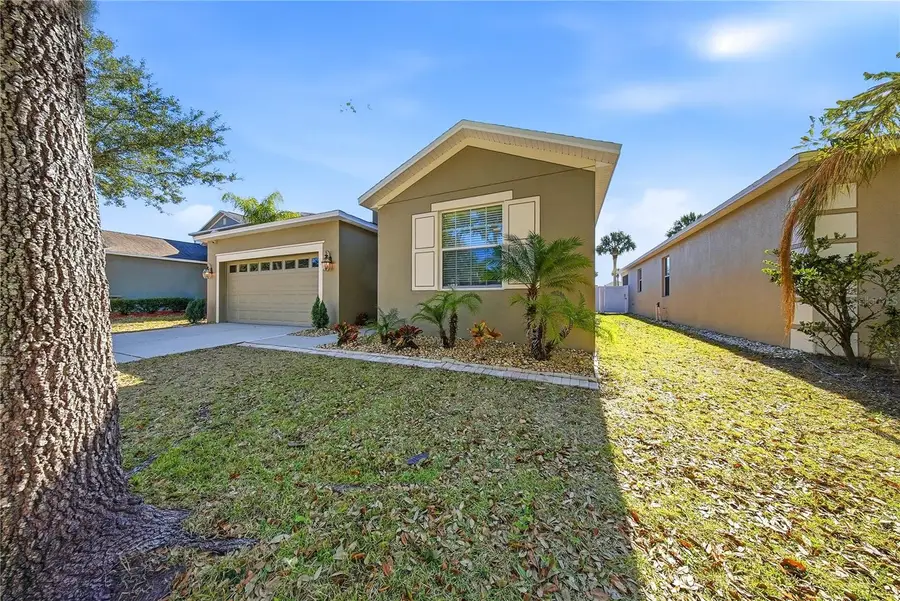 11209 Flora Springs Drive, Riverview, FL 33579 - Image #3