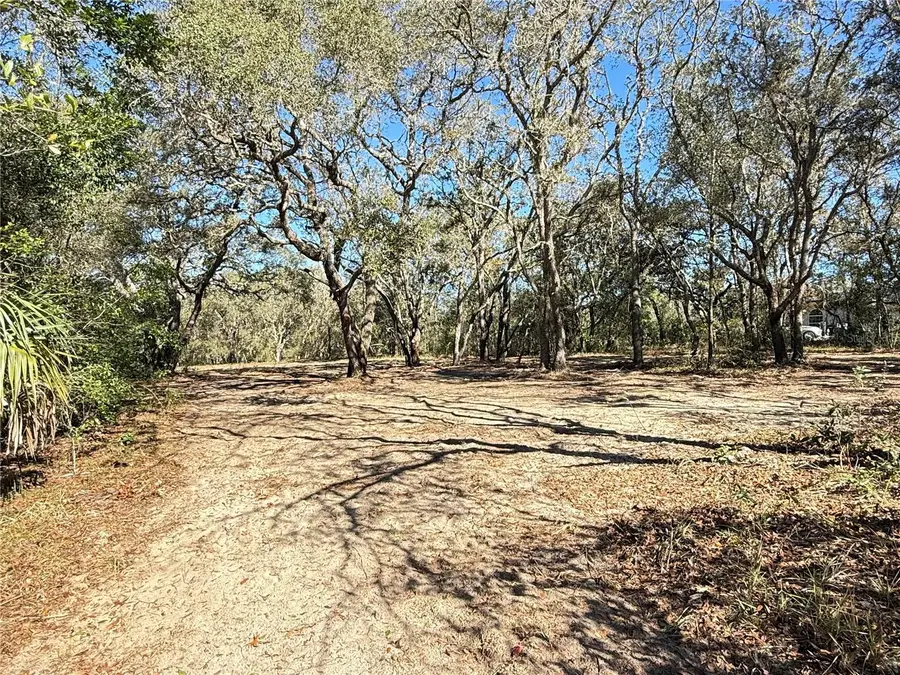 131 W Massachusetts Street, Hernando, FL 34442 - #2