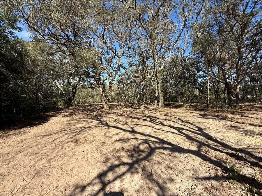 131 W Massachusetts Street, Hernando, FL 34442 - #3