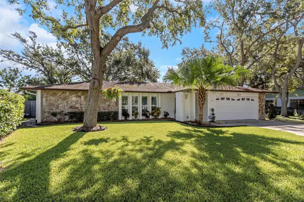 14251 Puffin Court, CLEARWATER, FL 33762