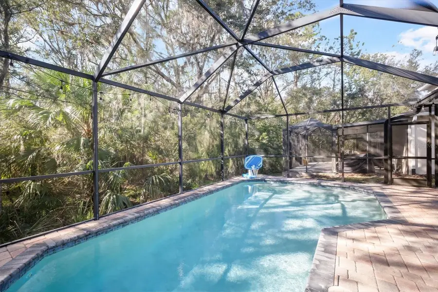 7878 Tuscany Woods Drive, Tampa, FL 33647 - Image #3