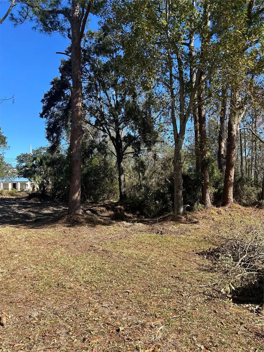 5927 Lynn Road, Tampa, FL 33624 - Image #2