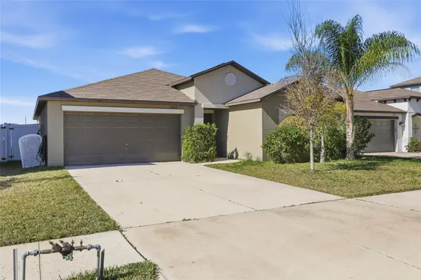 3609 Romano Busciglio Street, TAMPA, FL 33619