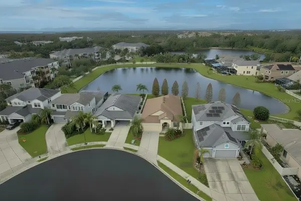 8010 Whitetail Deer Way, TAMPA, FL 33635