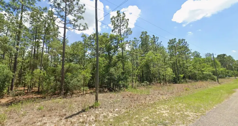 9409 N Fairy Lilly Drive, Citrus Springs, FL 34433 - Image #2