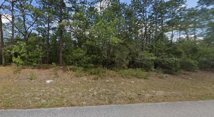 9181 N Satinwood Terrace, Citrus Springs, FL 34433 - Image #2