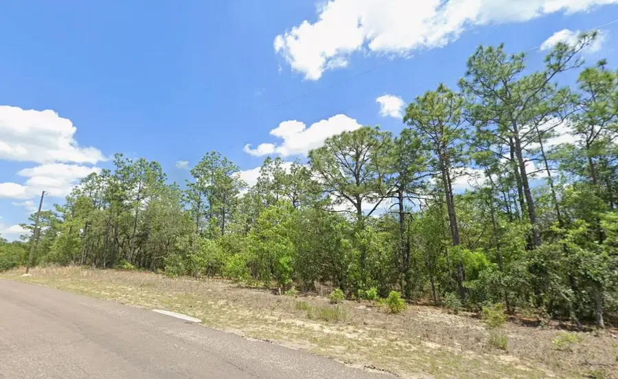 9313 N Hawkweed Drive, Citrus Springs, FL 34433 - Image #2