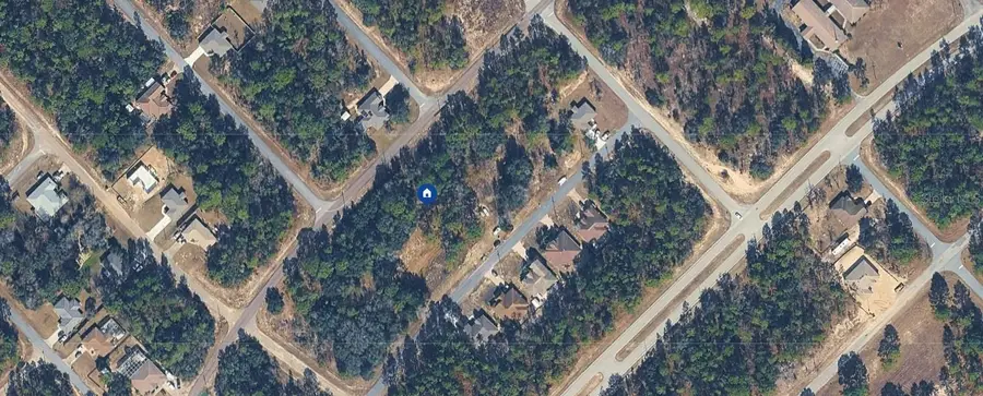 9313 N Hawkweed Drive, Citrus Springs, FL 34433 - Image #3