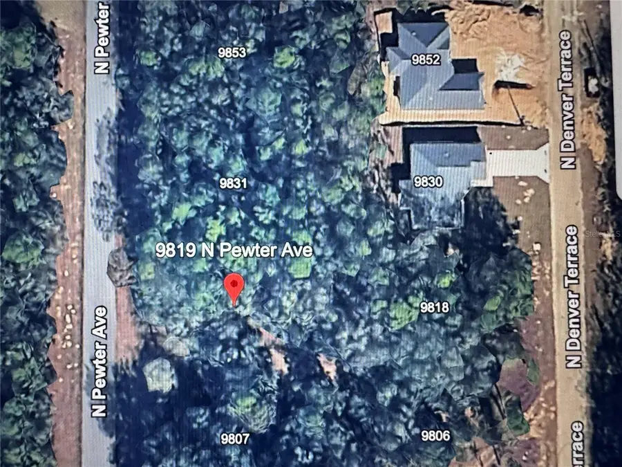 9819 N Pewter Avenue, Dunnellon, FL 34434 - Image #2