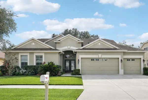 12606 River Birch Drive, RIVERVIEW, FL 33569
