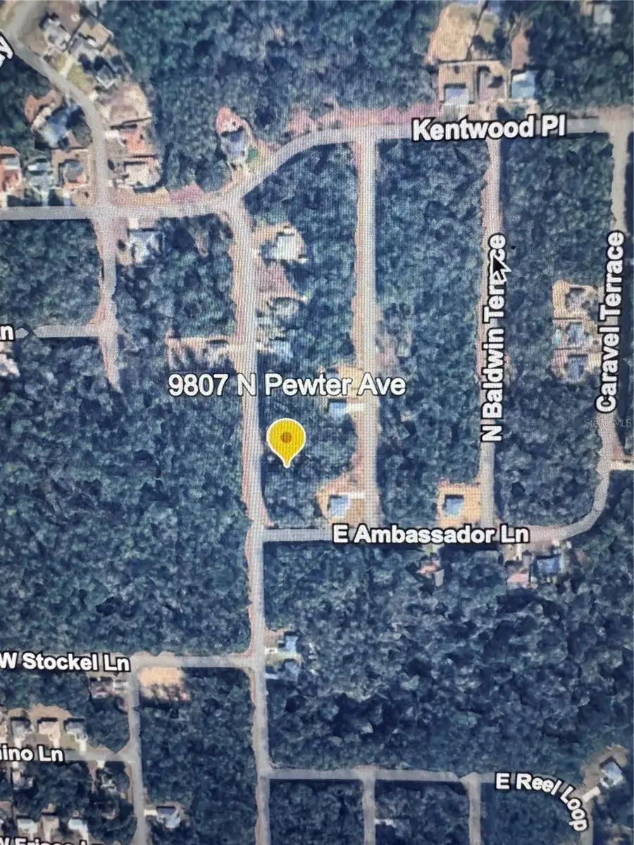 9807 N Pewter Avenue, Dunnellon, FL 34434 - Image #3