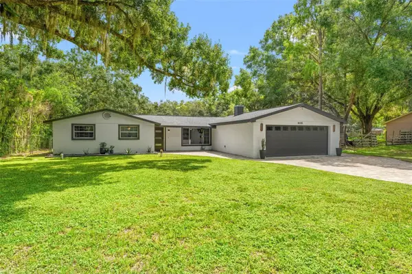 18205 Griffith Road, LUTZ, FL 33548