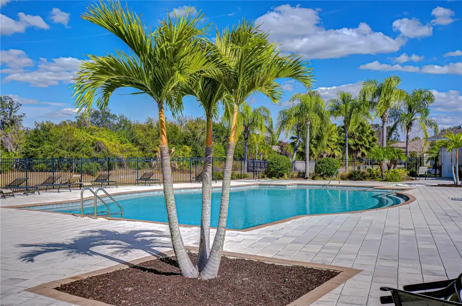 10013 Rosemary Leaf Lane, Riverview, FL 33578 - Image #3