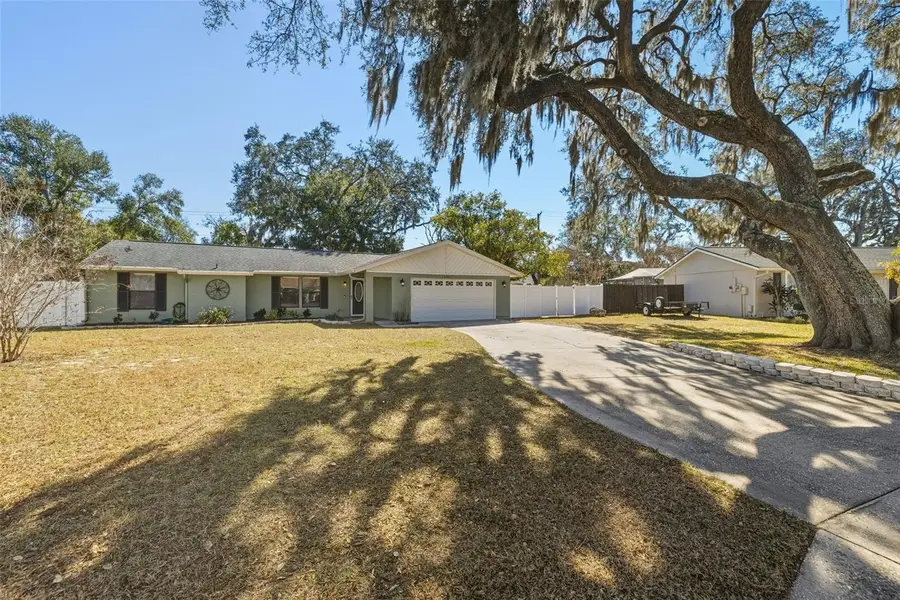 1309 Rustling Oaks Drive, Brandon, FL 33510 - Image #2