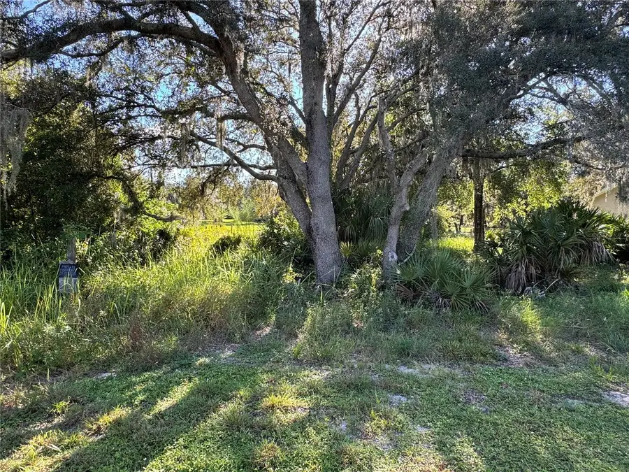 2040 N Morningside Road, Avon Park, FL 33825 - Image #3