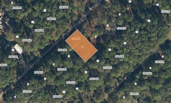 111 SE 3rd Street, GEORGETOWN, FL 32139