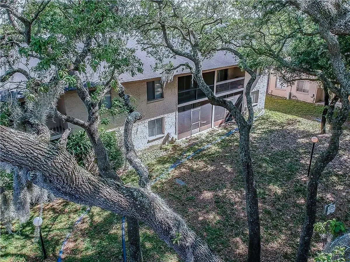 7537 Pitch Pine Circle N #C, Tampa, FL 33617 - #1