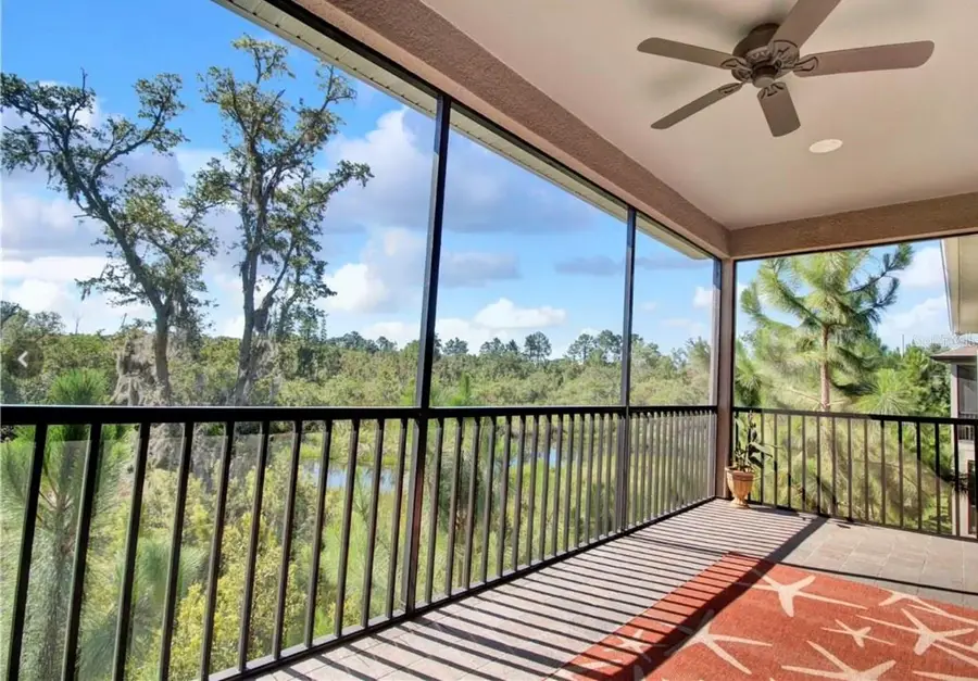 14909 Smitter Reserve Drive, Tampa, FL 33618 - Image #3